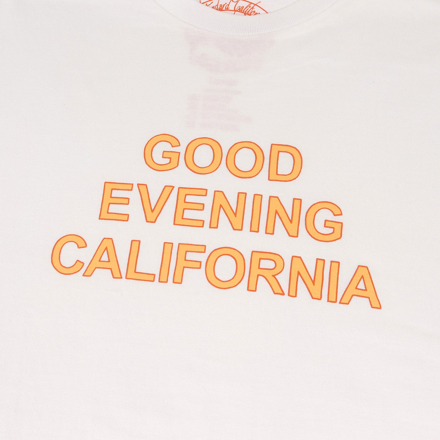 グラフィック ロゴ Tシャツ (SD GOOD EVENING CALIFORNIA T-SHIRT)