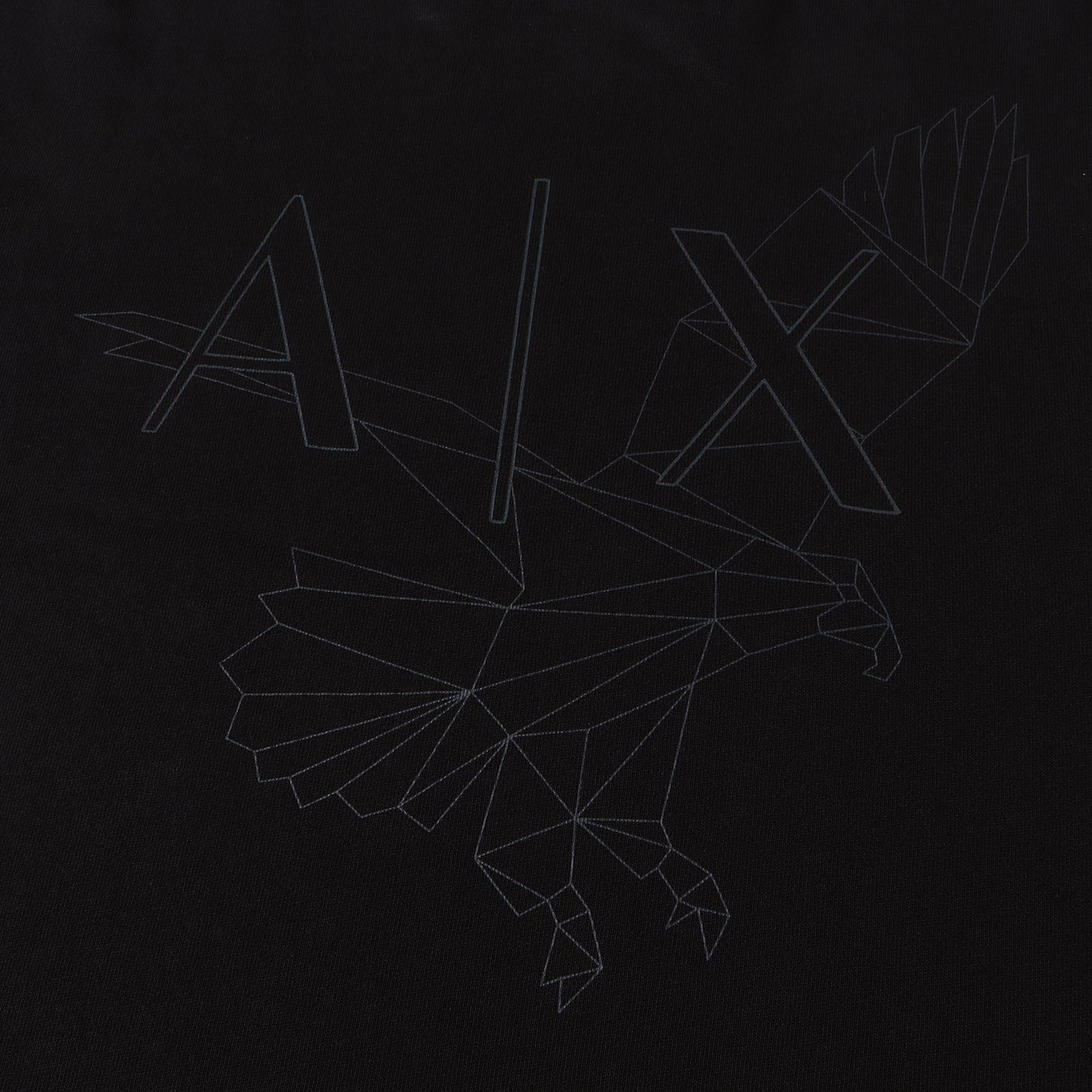 22AW AX ロゴ イーグル グラフィック スウェット / トレーナー プルオーバー 裏毛 イタカジ