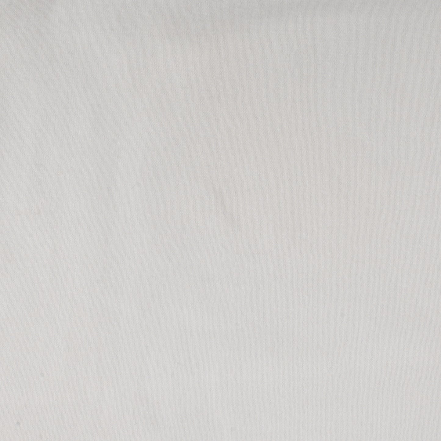 23SS ヘビーウェイト USA カレッジロゴ Tシャツ (SD UNITED WE STANDARD T)