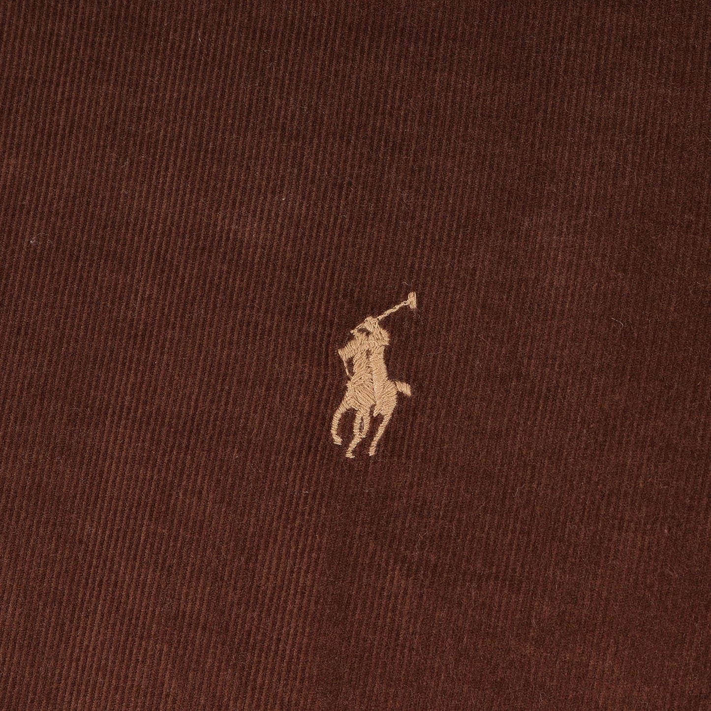 ポニー 刺繍 コーデュロイ ボタンダウン ドレス シャツ / 長袖 B.D 細畝 定番 ベーシック アメトラ トラッド ビジカジ オフィカジ カウボーイコア アメカジ