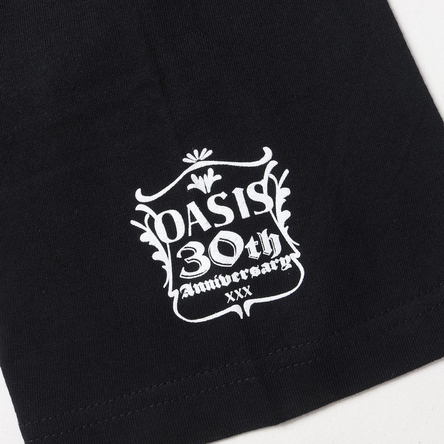 24SS (Whats The Story)Morning Glory? ジャケット グラフィック Tシャツ (oasis 10Culture 30th Anniversary TSH GMM-74030-C)