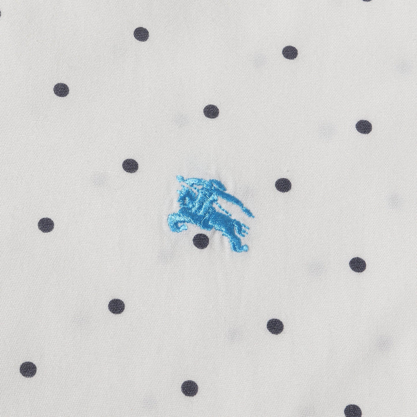 ワンポイント ホースマーク 刺繍 ポルカドット ブロード ボタンダウン ドレス シャツ