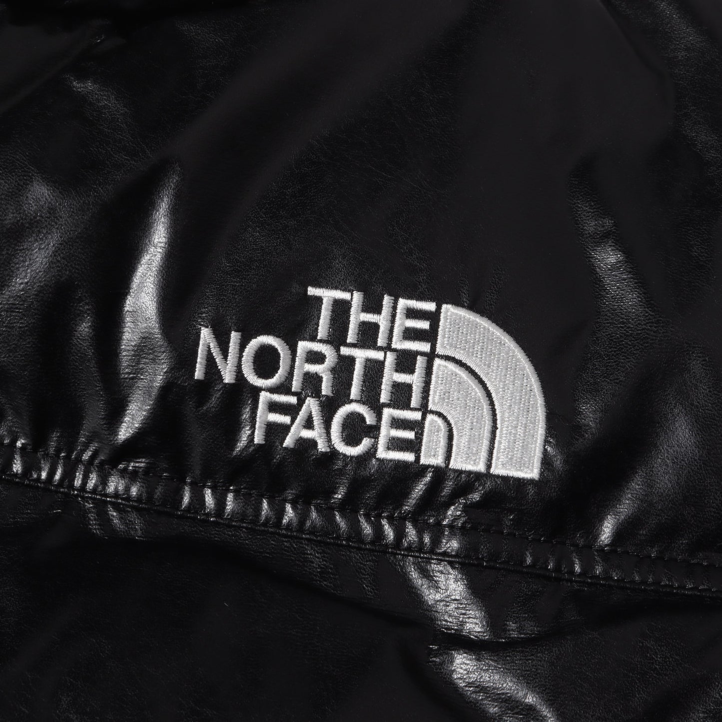 24AW × THE NORTH FACE シンセティックレザー ヌプシ ダウンジャケット (WN-J911)