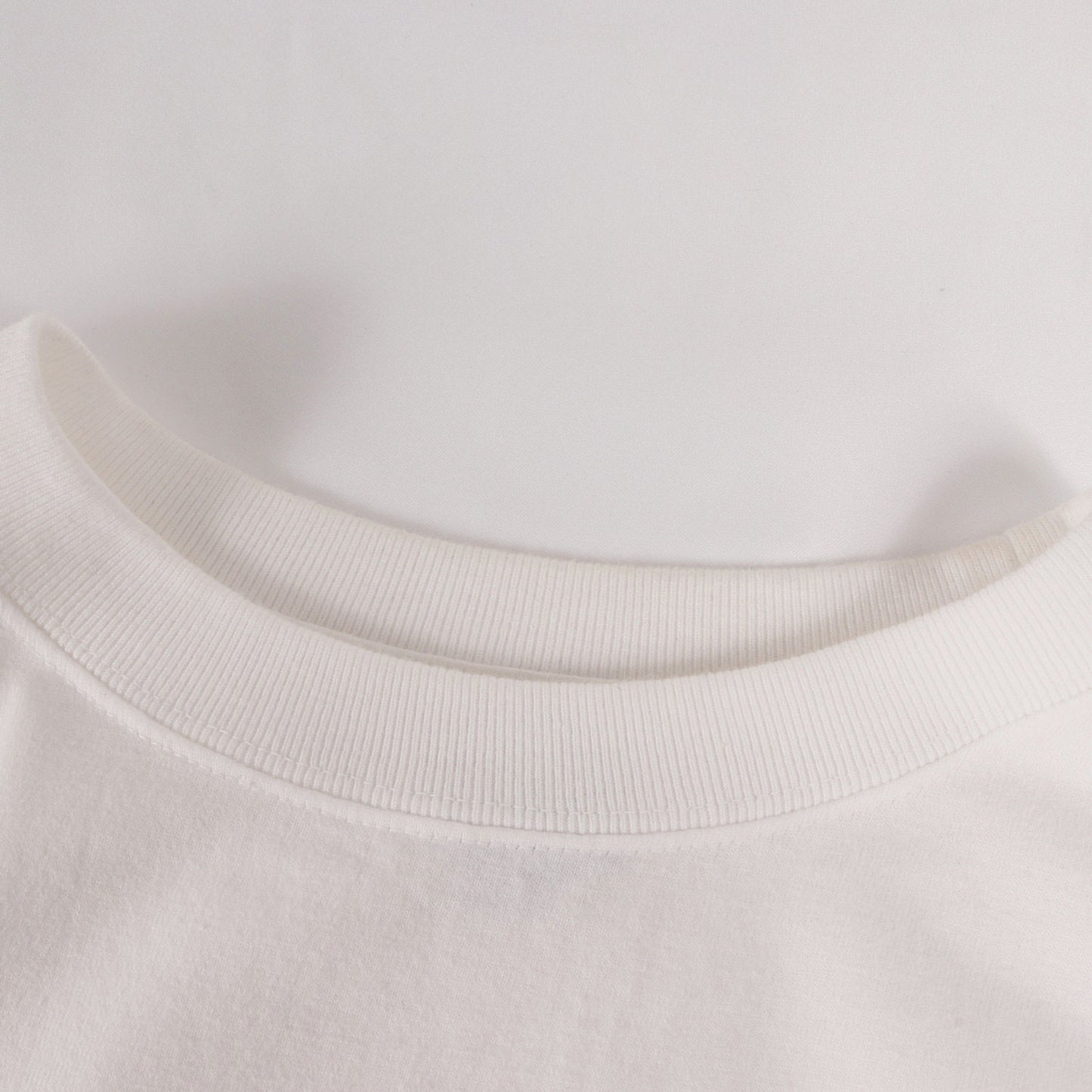 24SS グラフィック シールド ロゴ Tシャツ (SD HEAVYWEIGHT BASIC LOGO T)