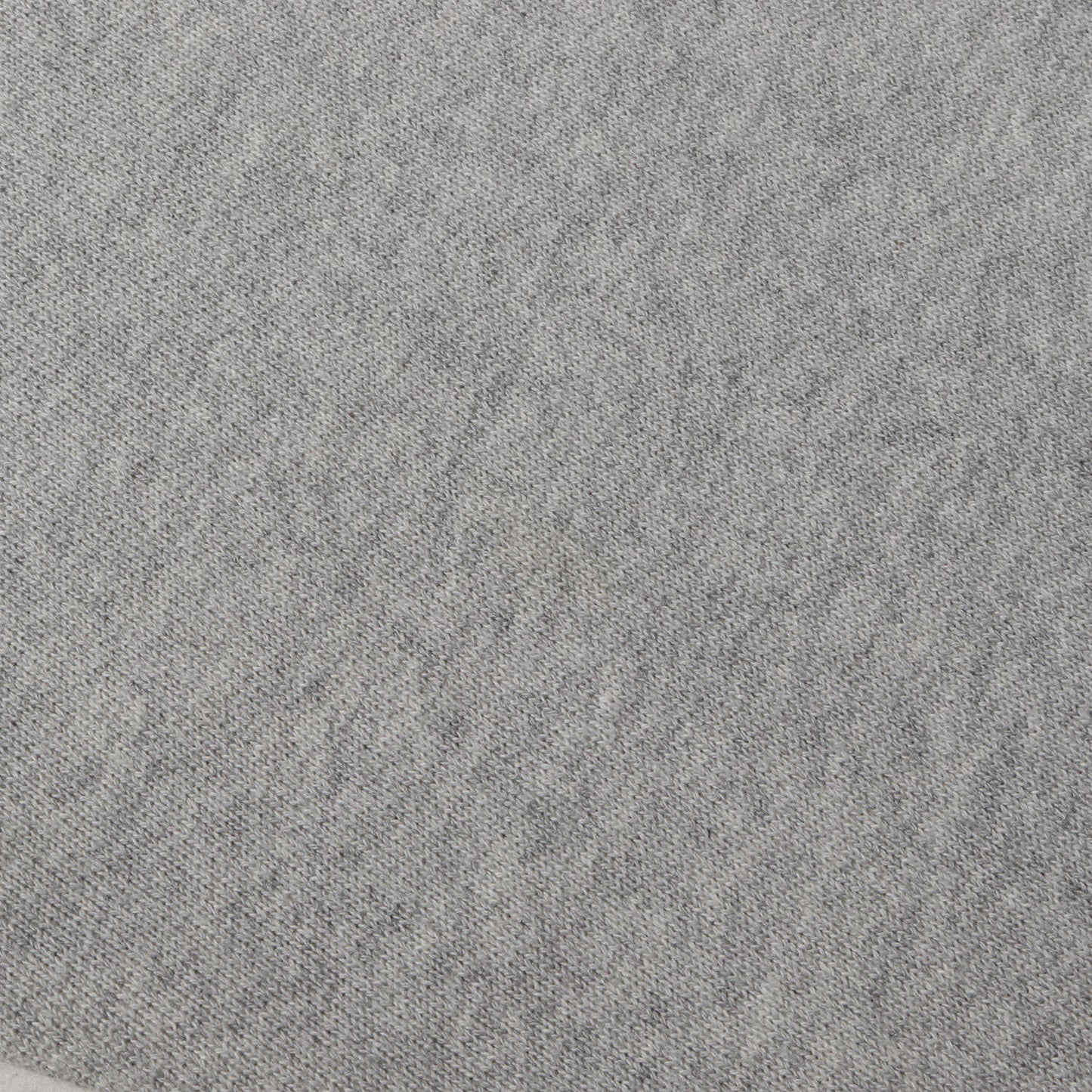 22AW × Champion 単色タグ オールドイングリッシュ ロゴ リバスウィーブ スウェット (CHAMPION × SD Reverse Weave Crew Sweat Official Store Limited) / 裏起毛