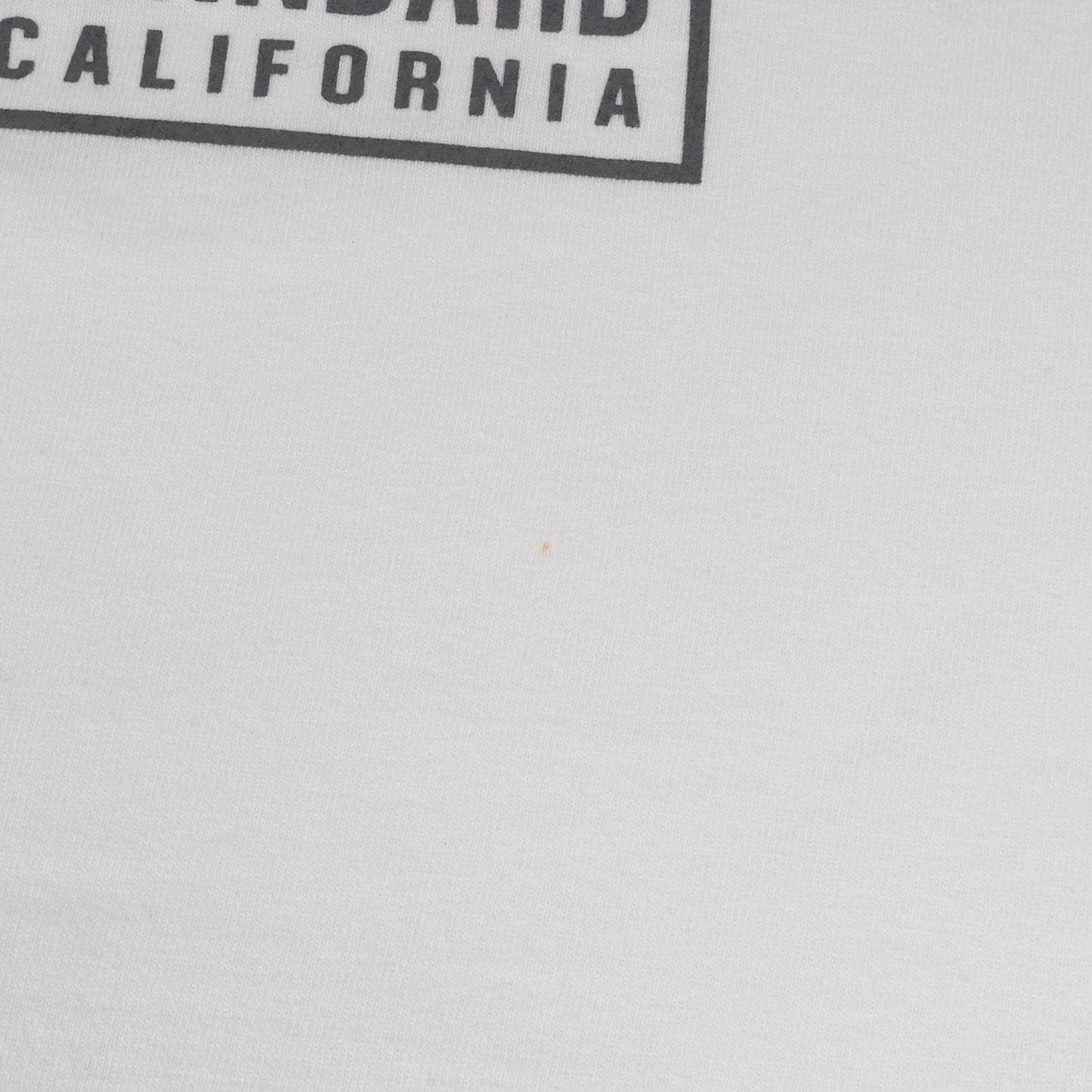 24AW ボックスロゴ ヘビーウェイト ロングスリーブ Tシャツ (SD HEAVYWEIGHT BOX LOGO LS)