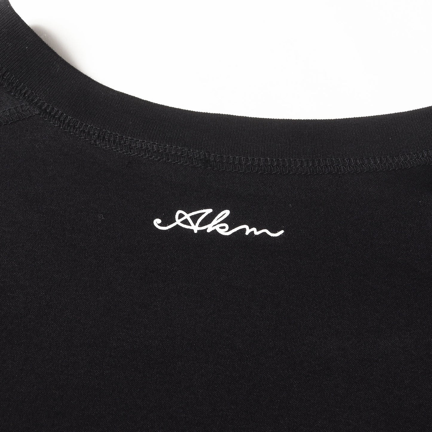 22AW バックロゴ ロングスリーブ カットソー (BIOFUSION L/S CREW LEON T T226 CTN250)