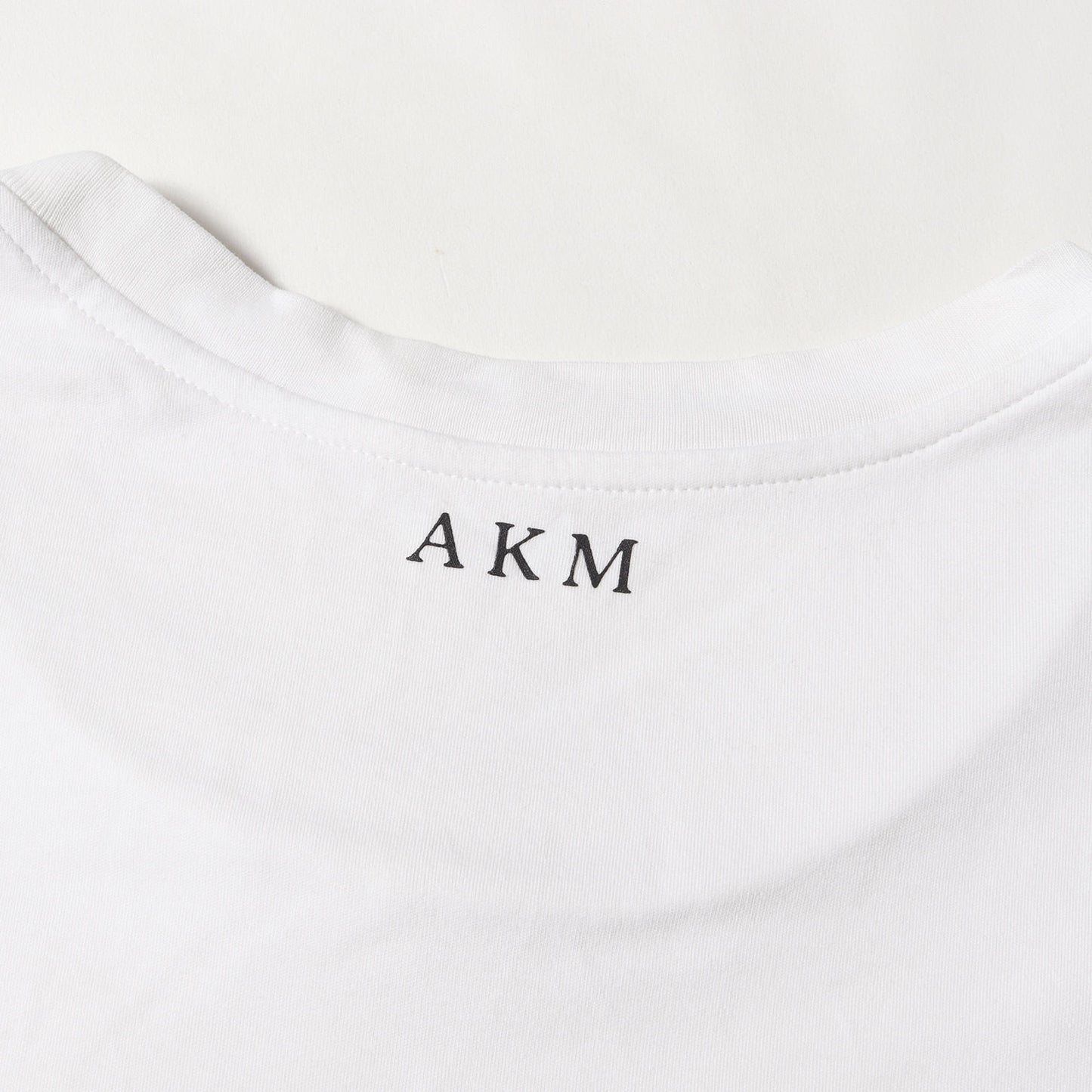 23SS バック ロゴ プラチナム スムース Tシャツ (SUVIN PLATINUM SMOOTH S/S CREW-NECK T233 CTN261)