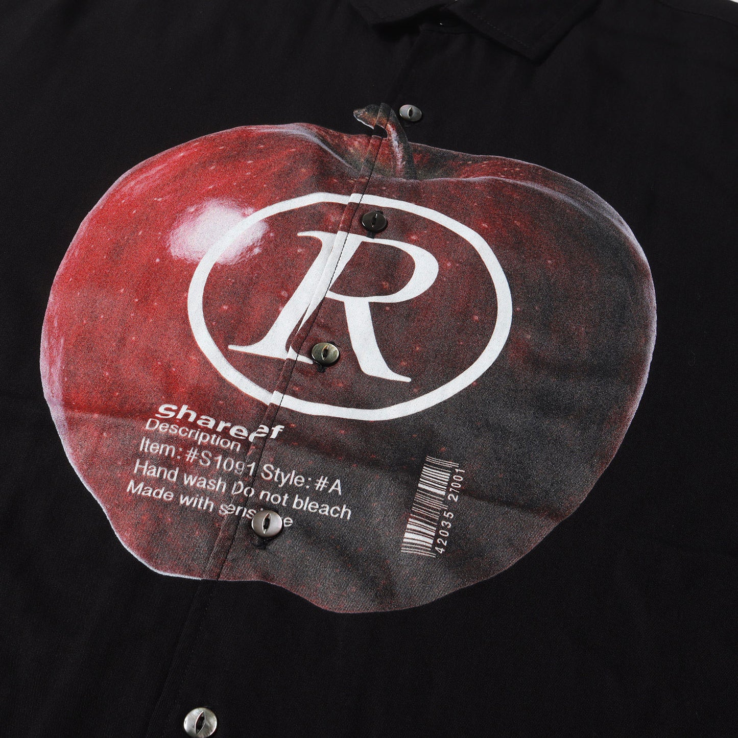 グラフィック テンセル シャツ (APPLE R L/S BIG SHIRTS 18713026)