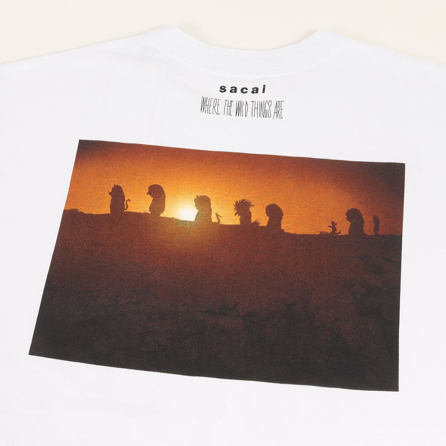 25AW × かいじゅうたちのいるところ グラフィック ロゴ Tシャツ (WHERE THE WILD THINGS ARE T-Shirt 25-01007S)