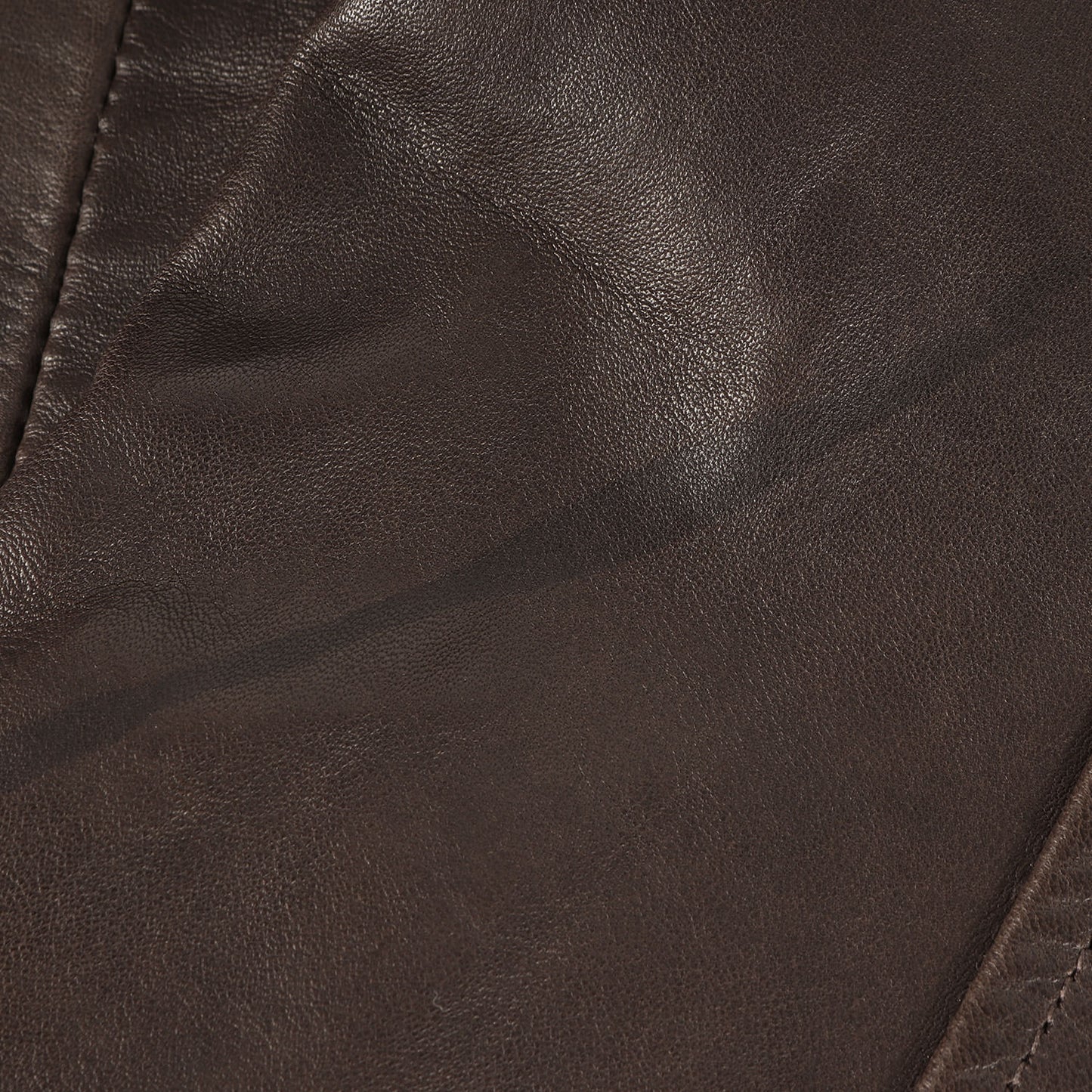× Golden Bear SPORT 3B カウレザー テーラード ジャケット (BEDFORD JACKET 20312-EG-COW)