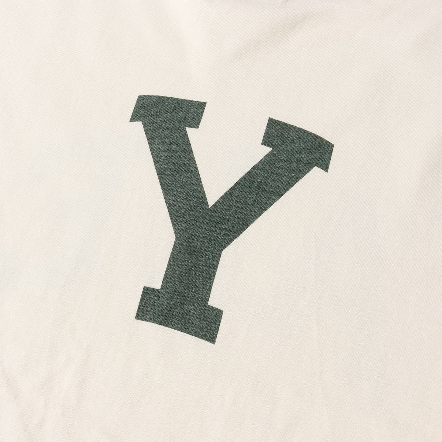 23SS グラフィック ロゴ Tシャツ (Cotton Rayon 88/12 print Tee bROOTS23S32) / ROOTS