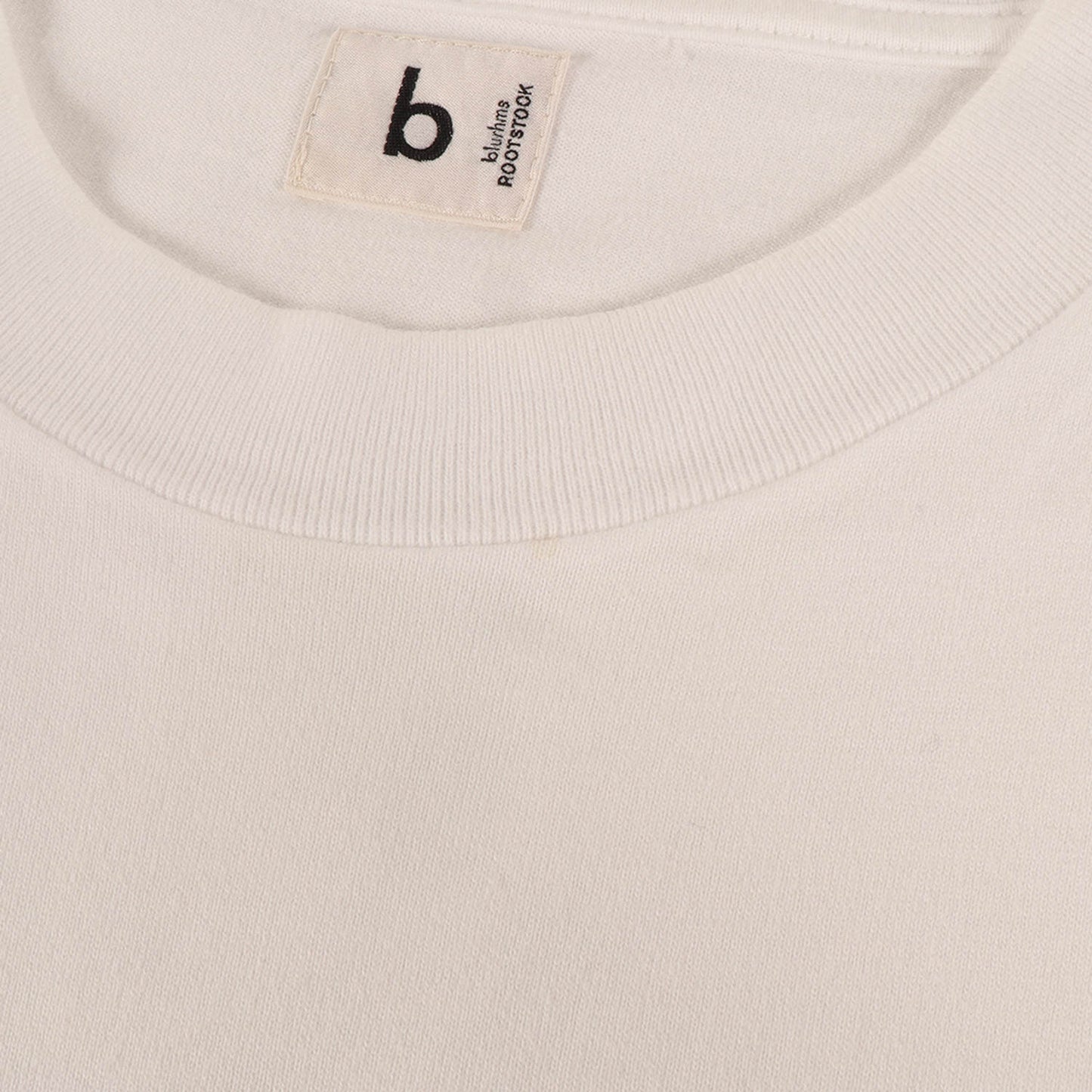 24SS ロゴ ビッグ Tシャツ (ARMEE Print Tee BIG)