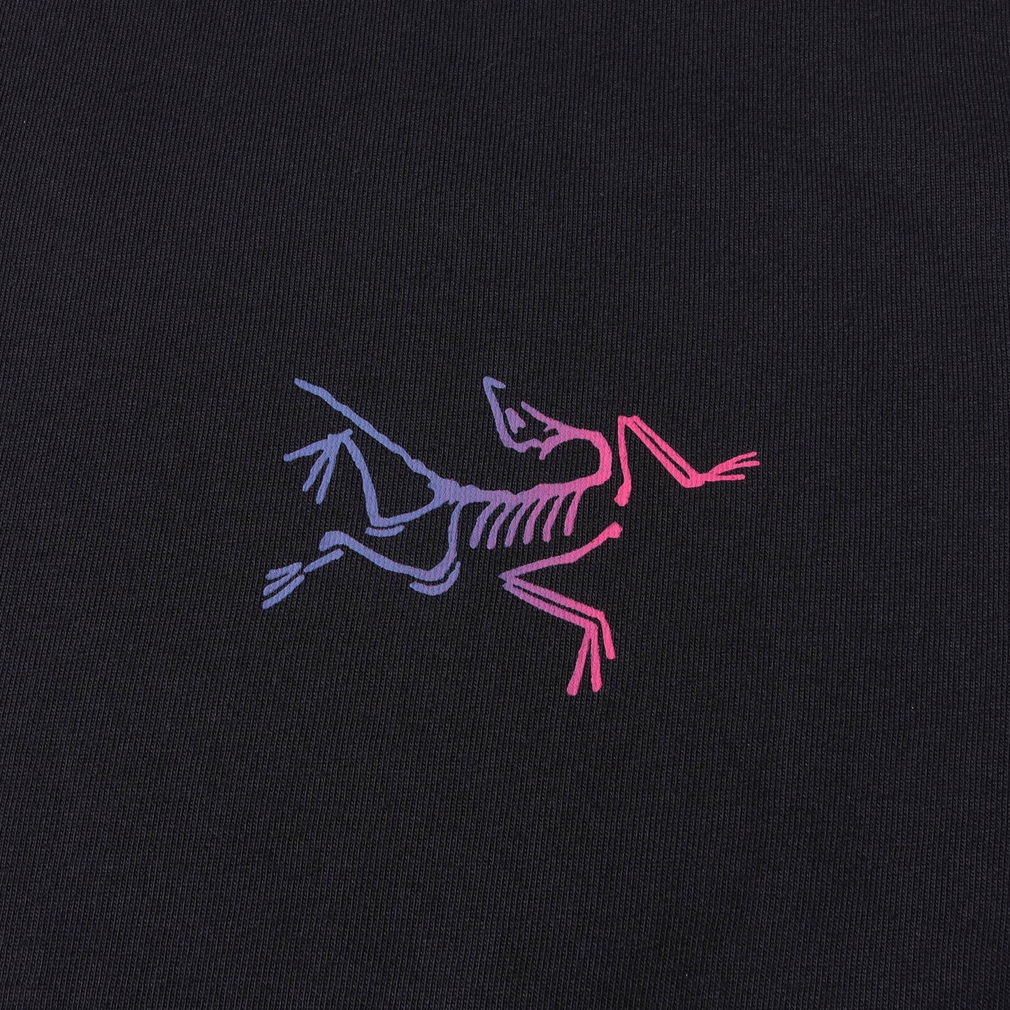 25SS グラフィック Tシャツ (Kragg Cotton Logo SS)