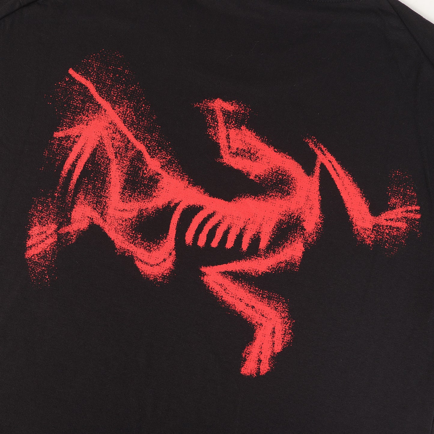 25SS グラフィック ロゴ Tシャツ (Kragg SL Cotton Blurred Bird SS)