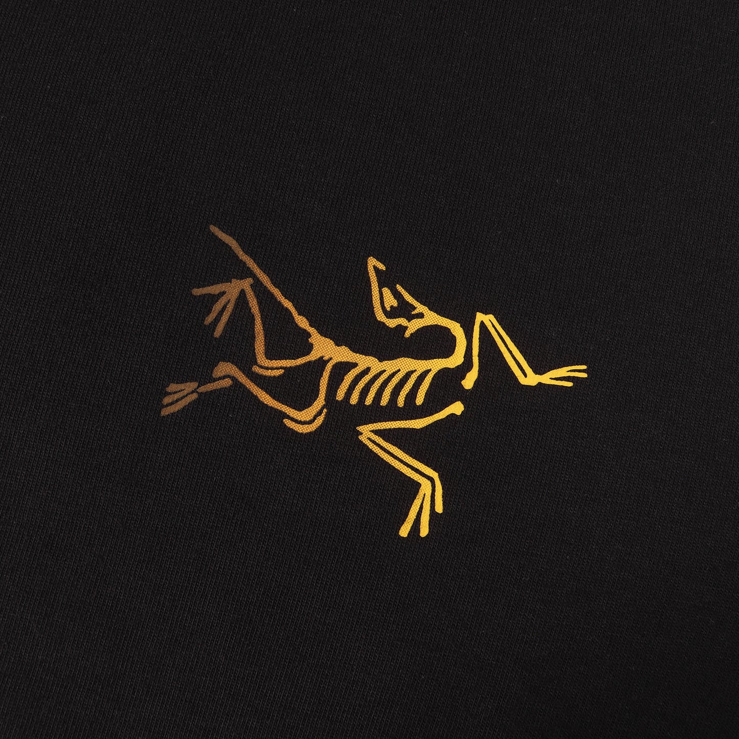 25SS グラフィック Tシャツ (Kragg Cotton Logo SS)
