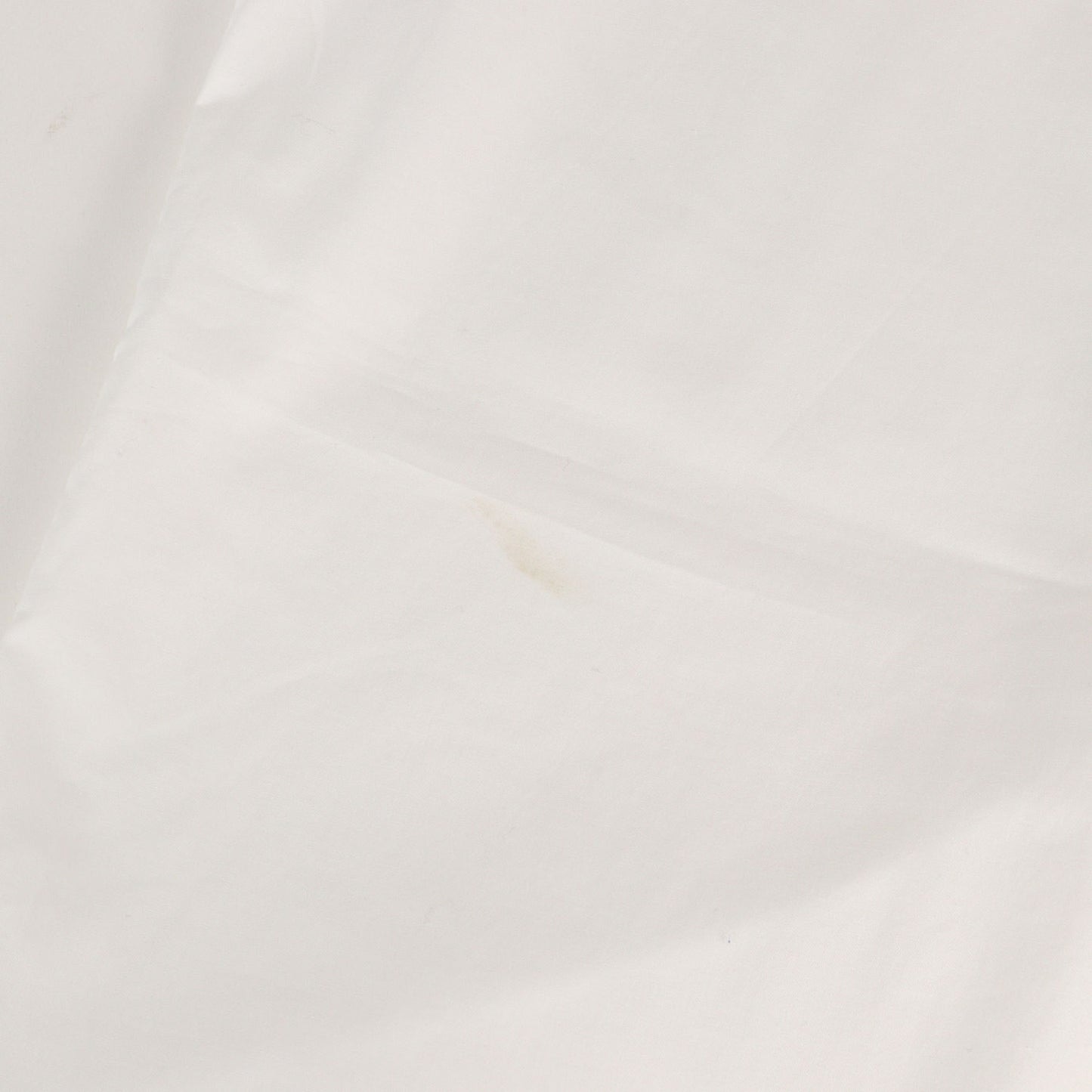 チェリー ローズ ドレスシャツ (ROSE PLACEMENT PRINT SHIRT) / MADE IN JAPAN