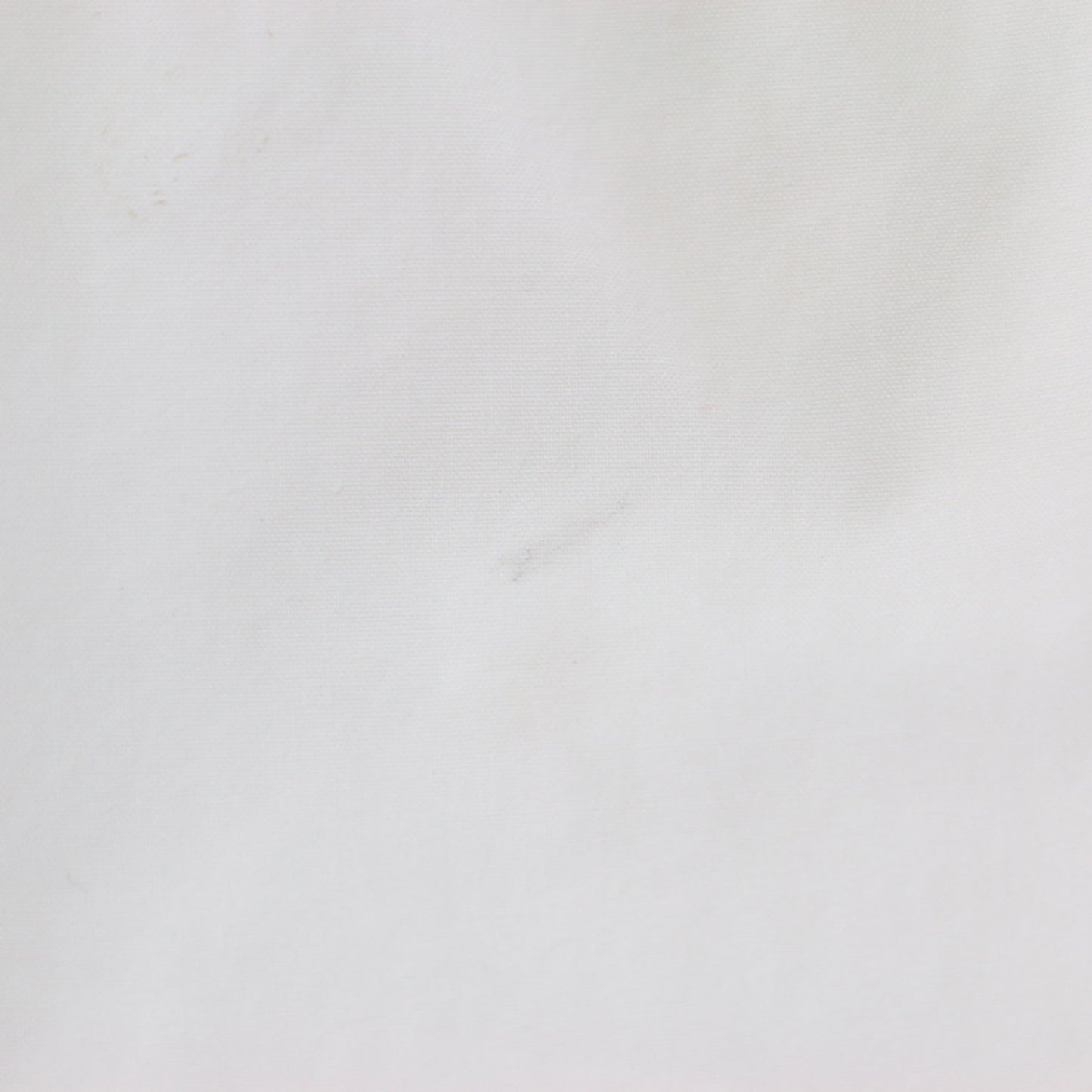 カバリング タイプライター スタンドネック ブラウス / サイドスリット ヘムライン 長袖 241028