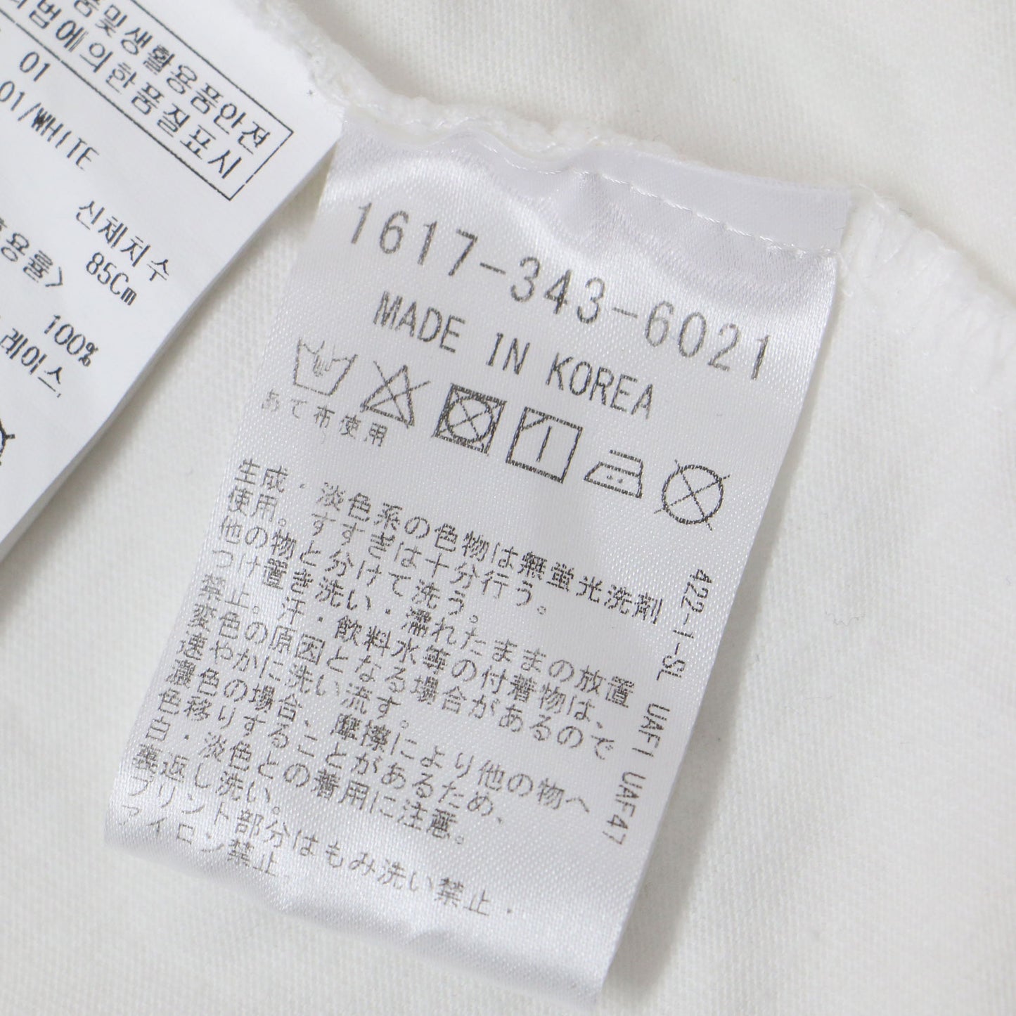 24春夏 SHELTER プリント Tシャツ / コットン クルーネック 半袖