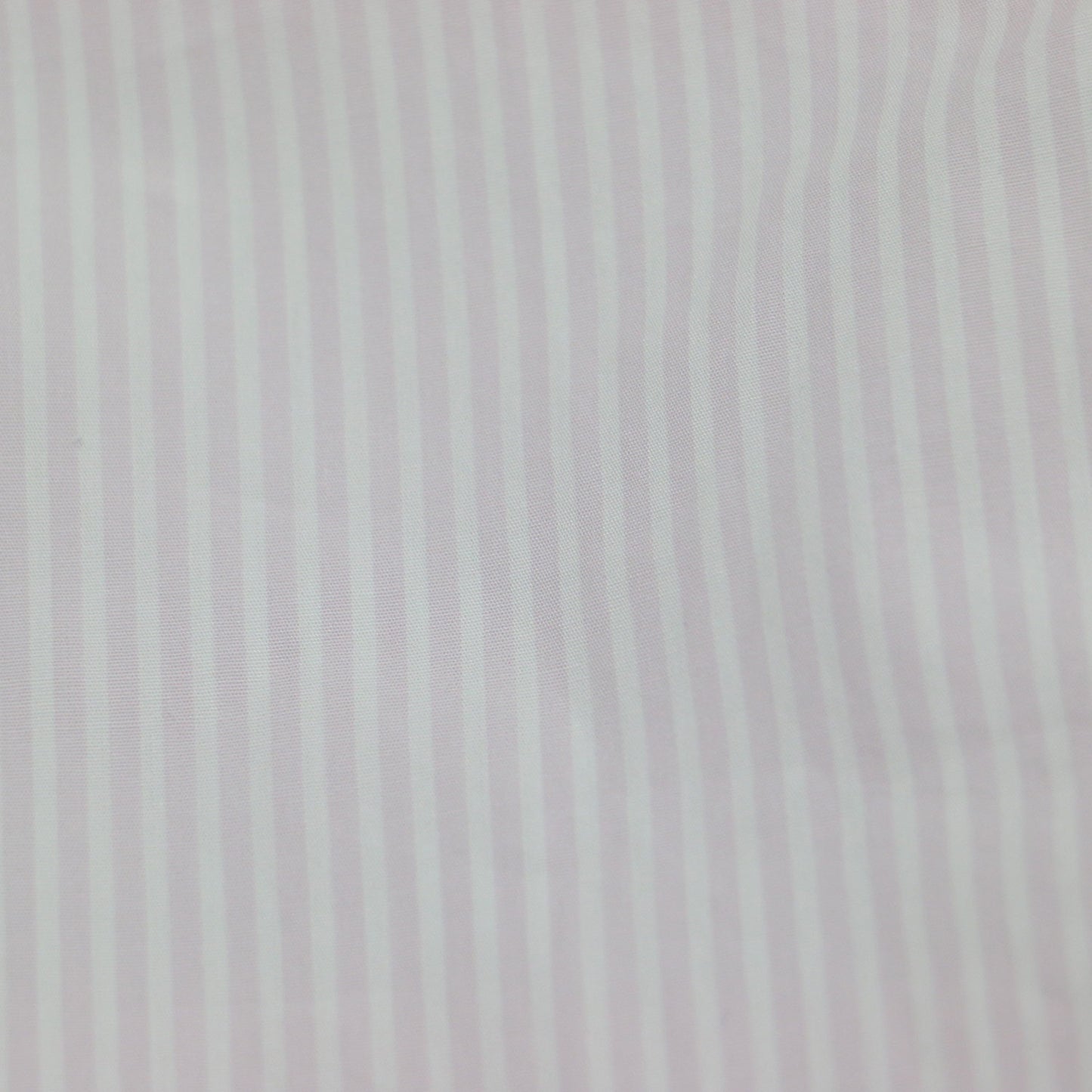 ストライプ バンドカラー シャツ / 長袖 CANCLINI コットン