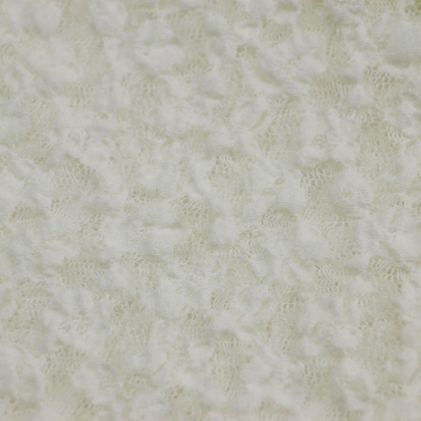 レース カットソー / Tシャツ クルーネック 長袖 ロングスリーブ シアー ストレッチ