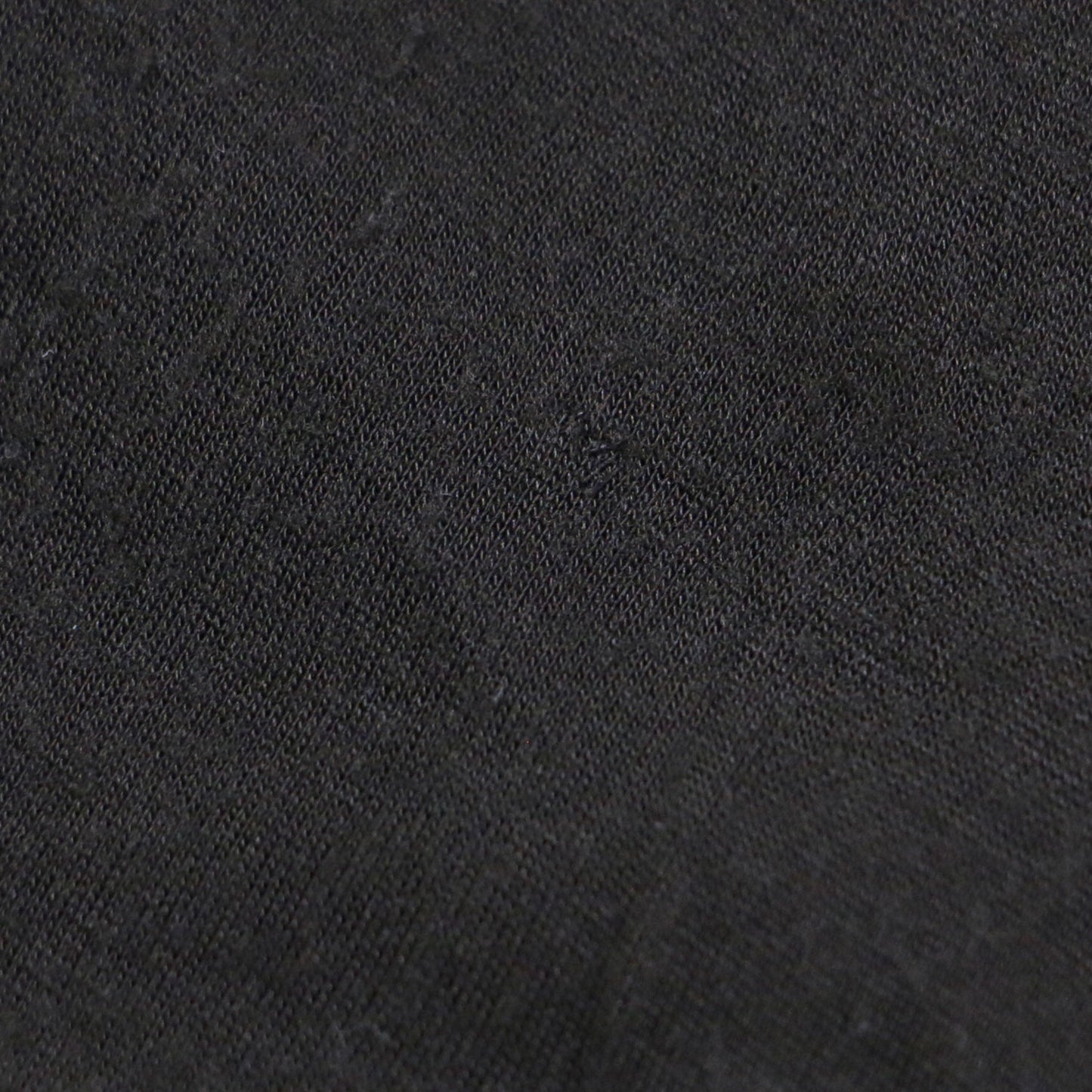 23秋冬 ロングスリーブ Tシャツ / LONG SLEEVE TEE カットソー 長袖 クルーネック シアー