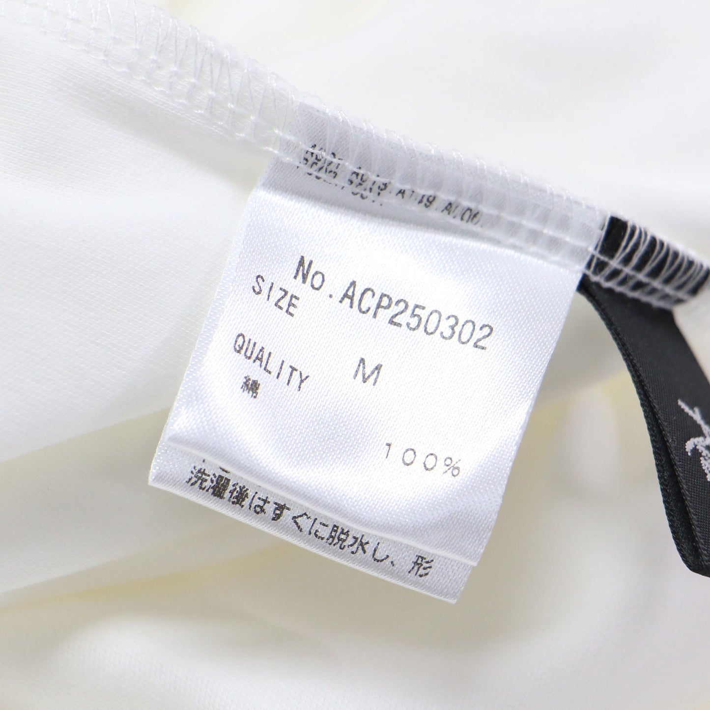 25春夏 シルケット フリルスリーブ プルオーバー カットソー / Tシャツ ノースリーブ ストレッチ