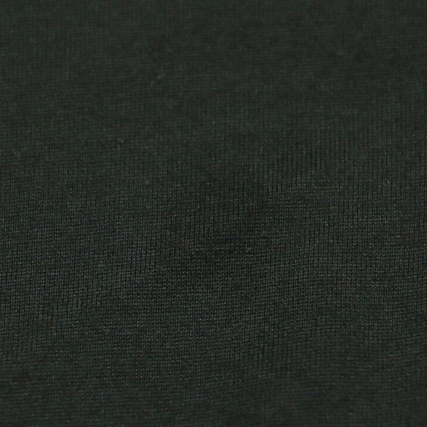 24春夏 クルーネック 半袖 Tシャツ / shapely カットソー オーバーサイズ コットン