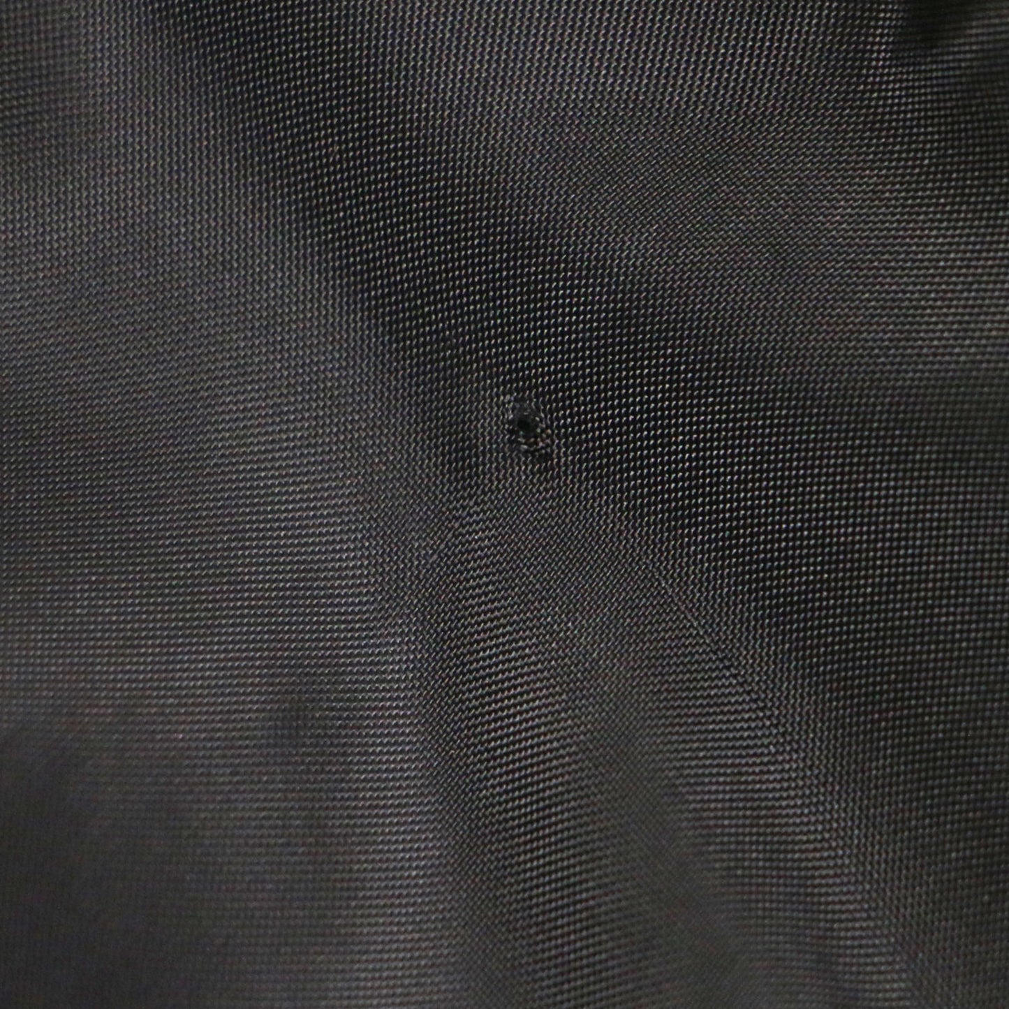 ファンシーラメ ブッチャー ワンピース / ドレス スタンドカラー フレンチスリーブ ミニ丈 デイジー刺繍