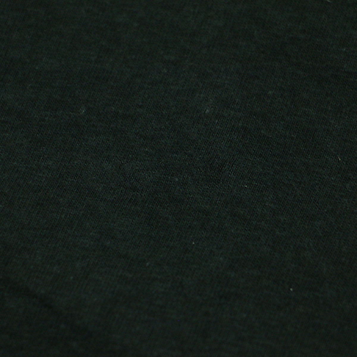 × L'Appartement 別注 24春夏 ANRCN プリント Tシャツ / カットソー 半袖 ロゴ コットン