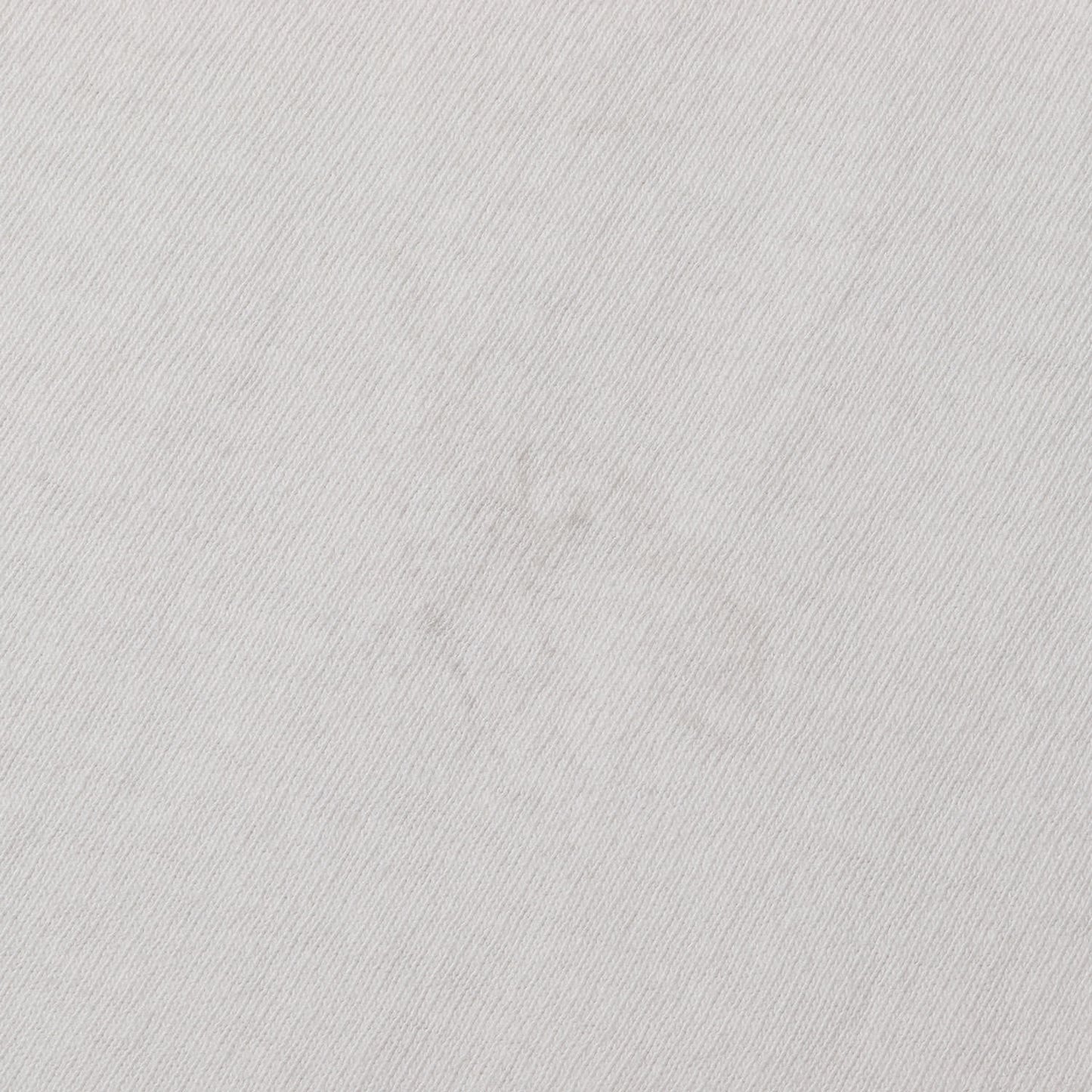 90s 猿の進化 Tシャツ / ハイチ製 backcountry