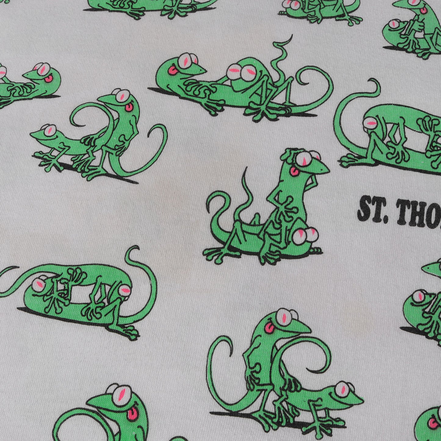 90s カメレオン 四十八手 両面プリント Tシャツ / USA製 FRUIT OF THE ROOM