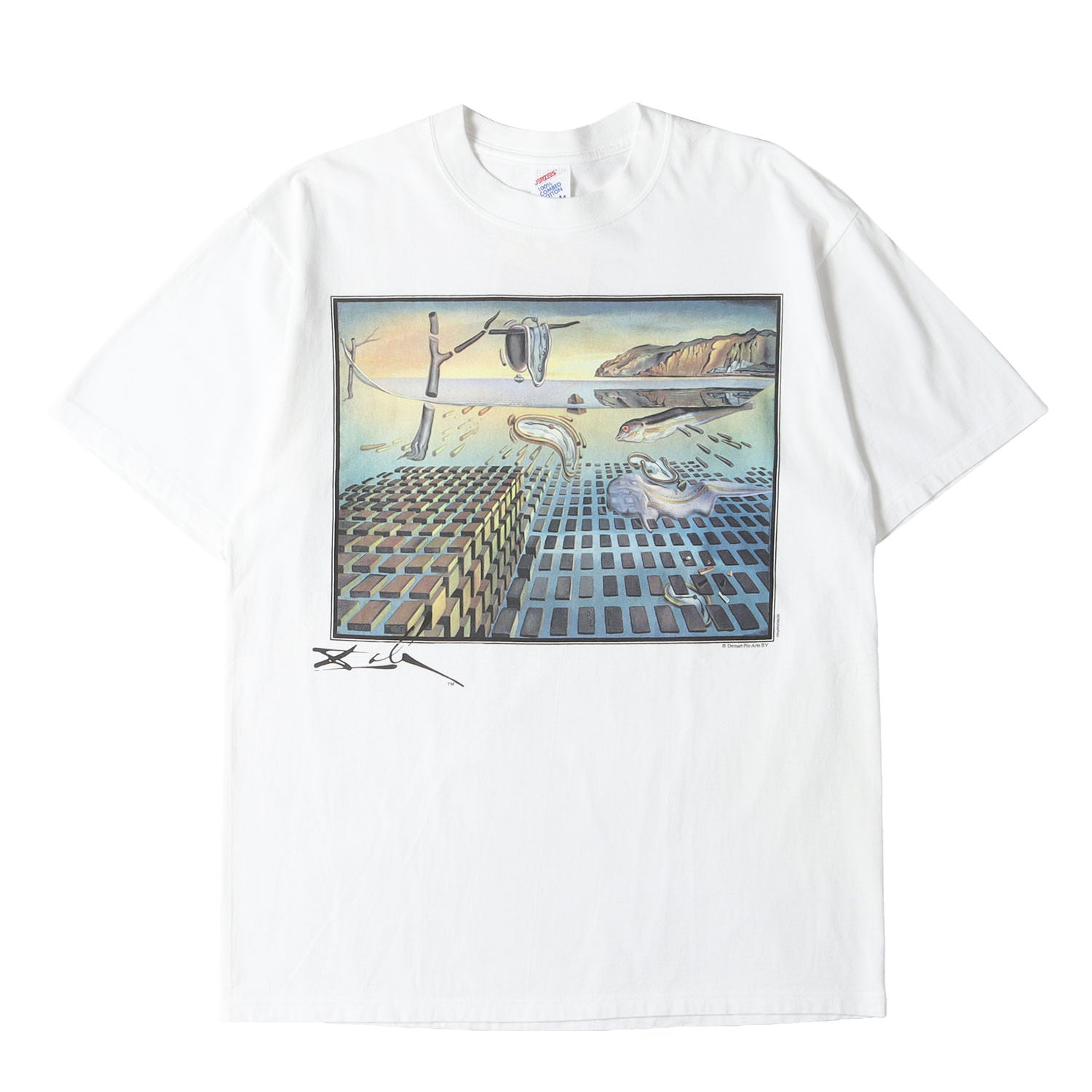 90s - 00s ヴィンテージ古着 (Vintage / Used) [記憶の固執の崩壊] 90s 