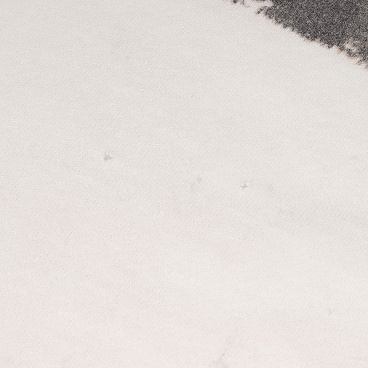 90s リー・ロイ・パーネル Tシャツ / メキシコ製 TURTEX