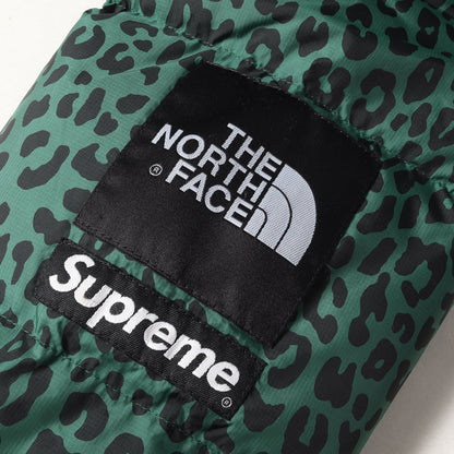 11AW ×THE NORTH FACE レオパード ヌプシ ダウンジャケット(Nuptse Down Jacket / ND19100)
