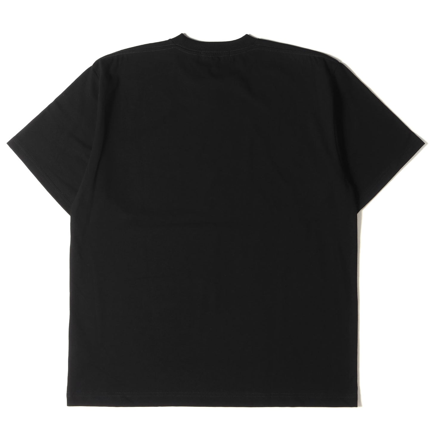 22SS ナショナル麻布 パロディーロゴ ヘビー Tシャツ(T-SHIRT)