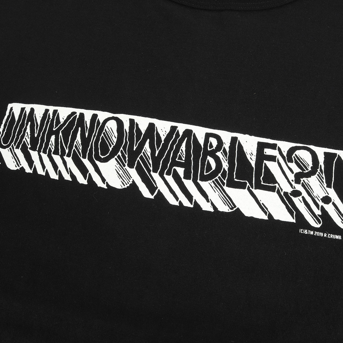 19SS ×Robert Crumb イラスト グラフィック Tシャツ(Print S/S Tee UNKNOWABLE?)