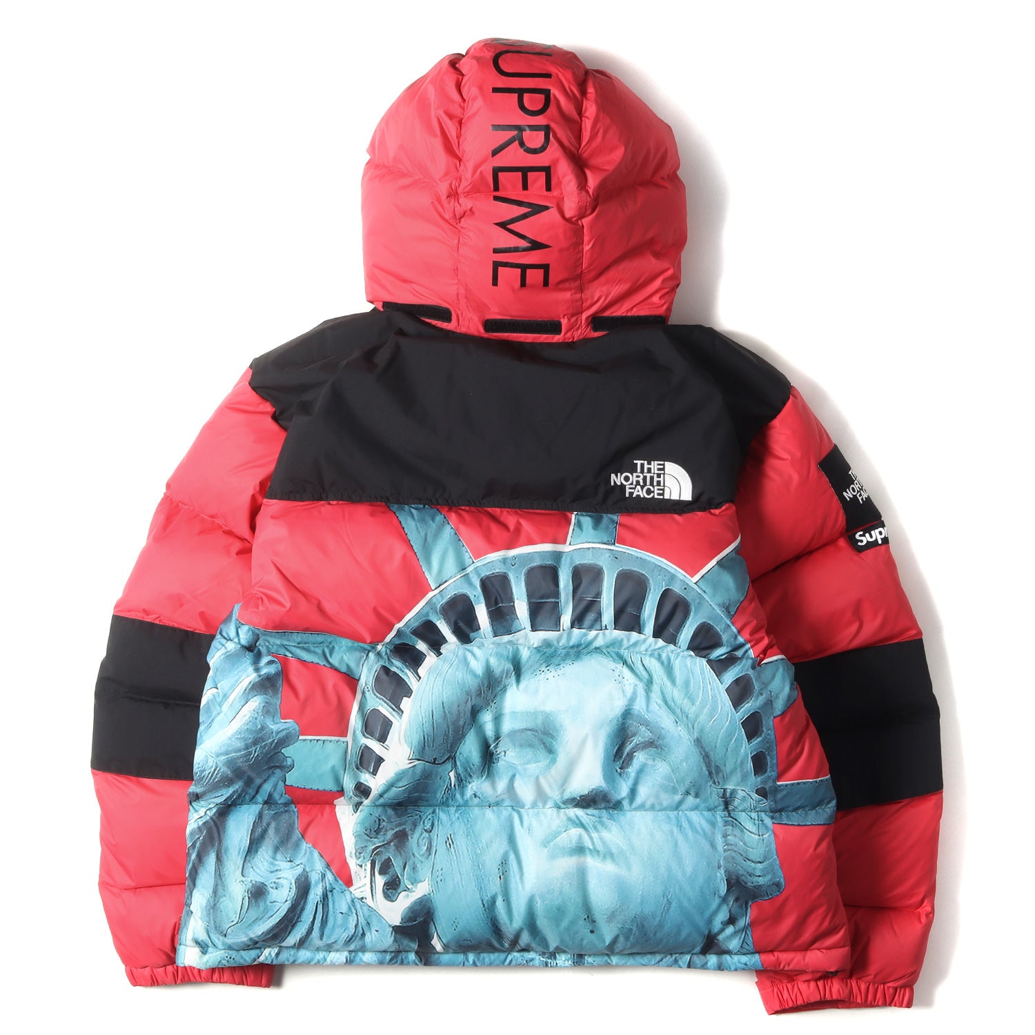 Supreme (シュプリーム) 19AW ×THE NORTH FACE 自由の女神 バルトロ 