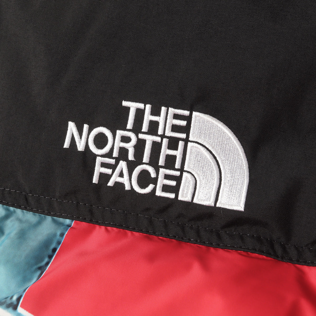 ×THE NORTH FACE 自由の女神 バルトロ ダウンジャケット(Baltro Jacket ND91901I)