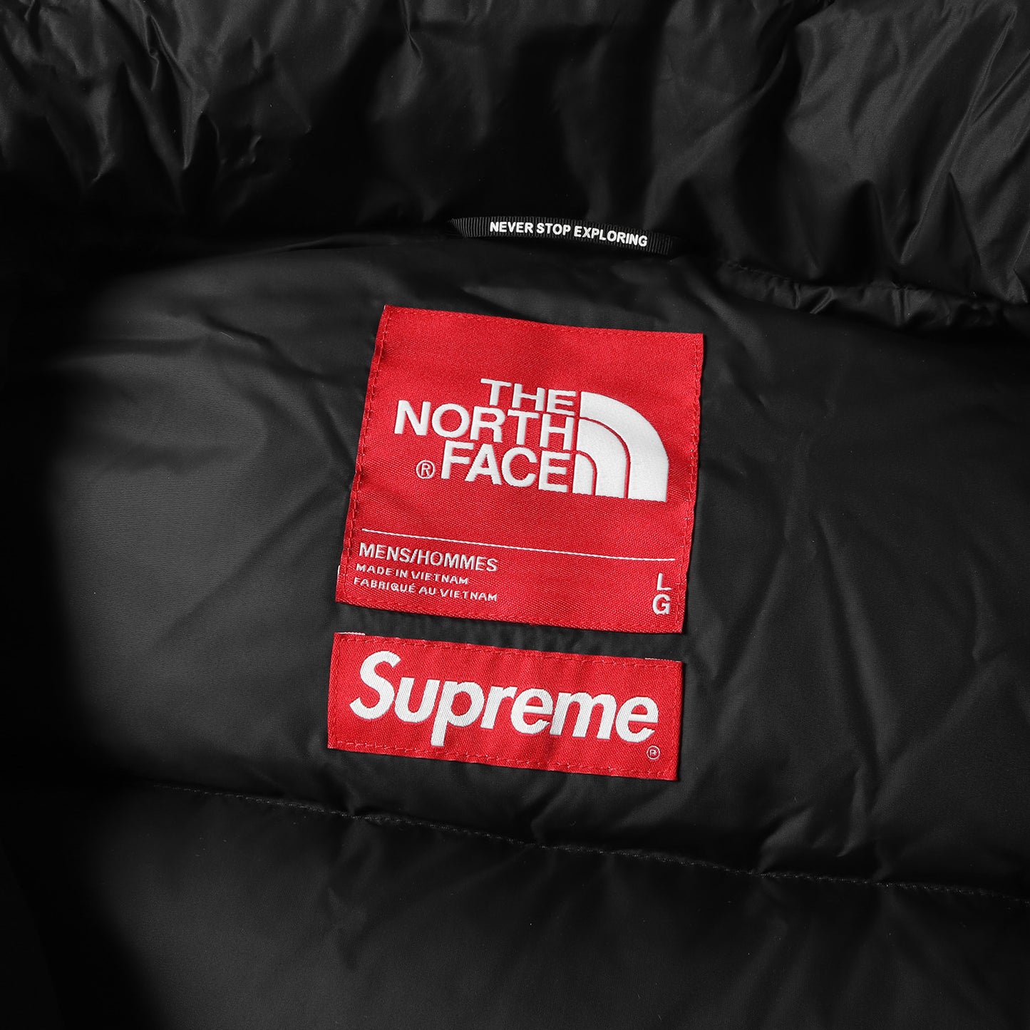 20AW ×THE NORTH FACE フェイクファー ヌプシ ダウンジャケット(Faux Fur Nuptse Jacket)