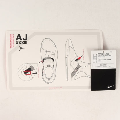 ×TRAVIS SCOTT AIR JORDAN 33 NRG (CD5965-300)