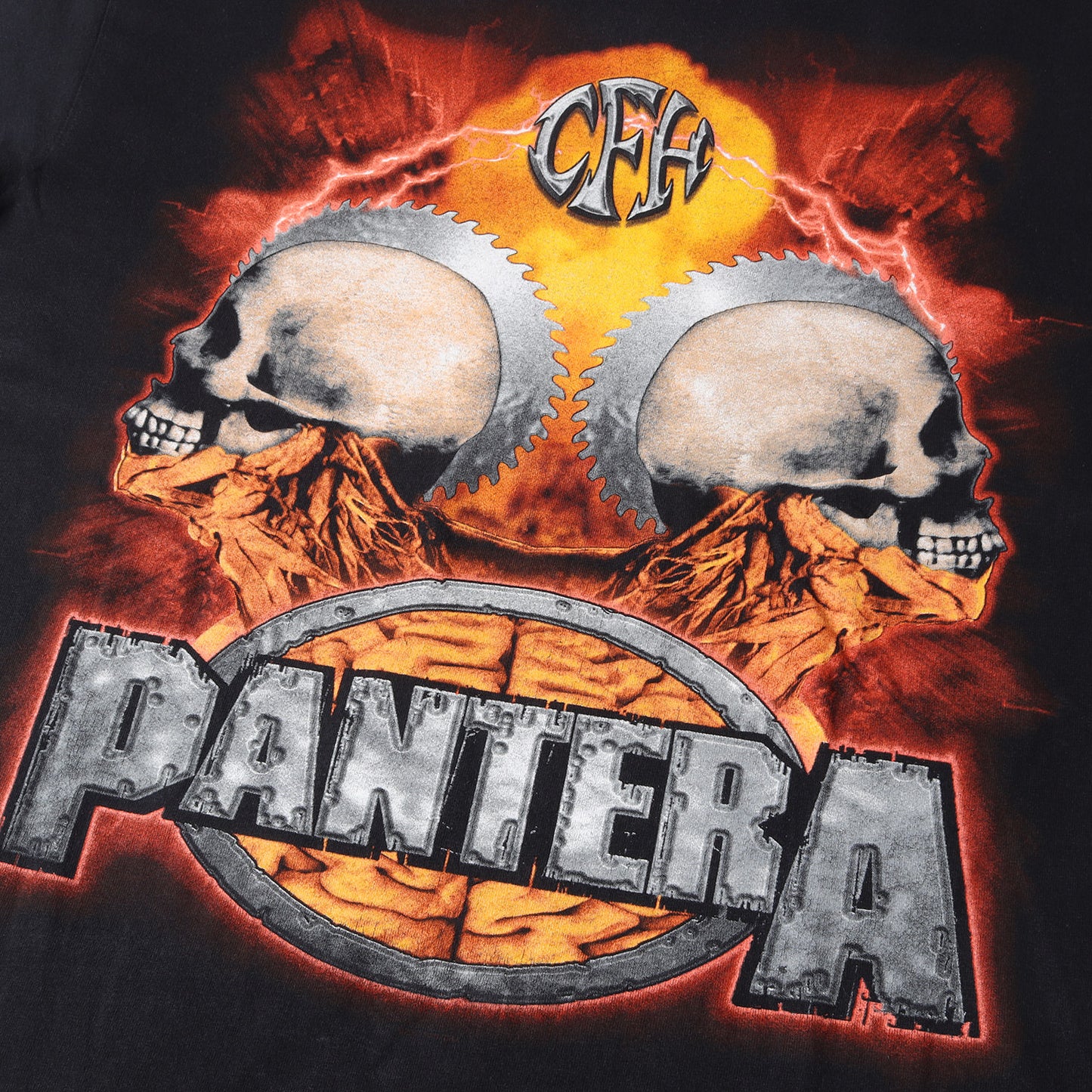00s PANTERA スカル デザイン Tシャツ(WINTERLANDボディ)