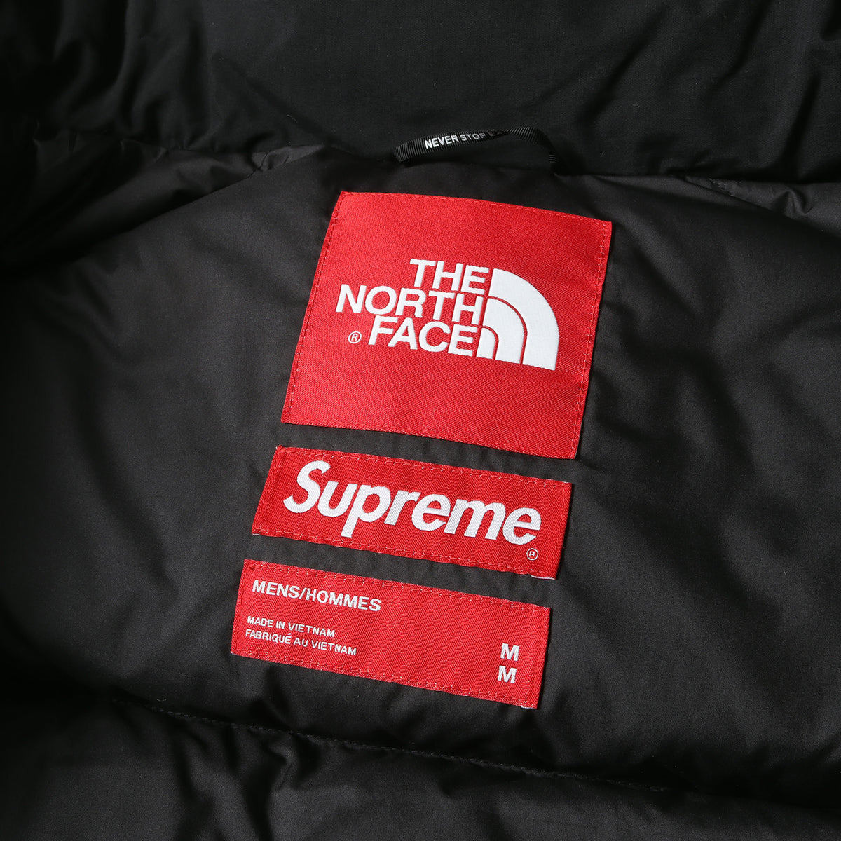×THE NORTH FACE 自由の女神 バルトロ ダウンジャケット(Baltro Jacket ND91901I)