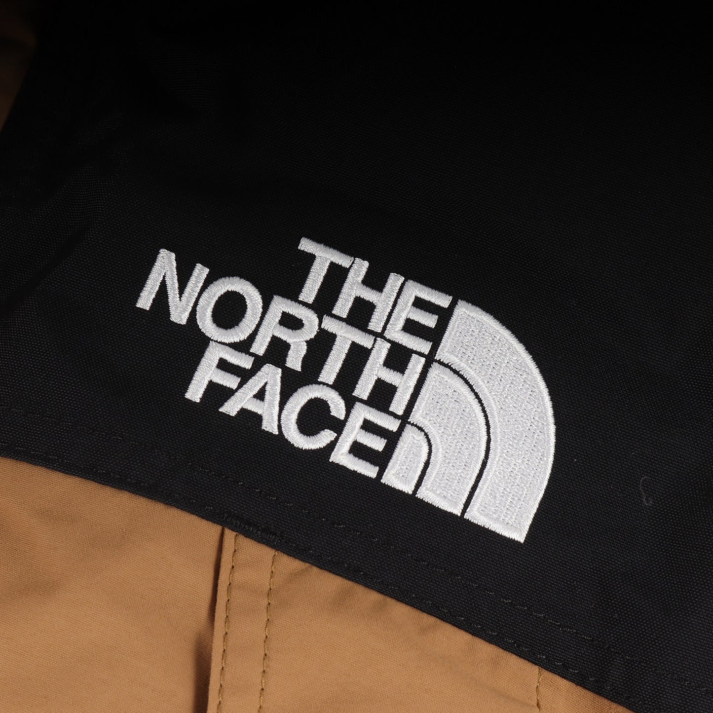 20AW GORE-TEX マウンテンダウン ジャケット(MOUNTAIN DOWN JACKET)