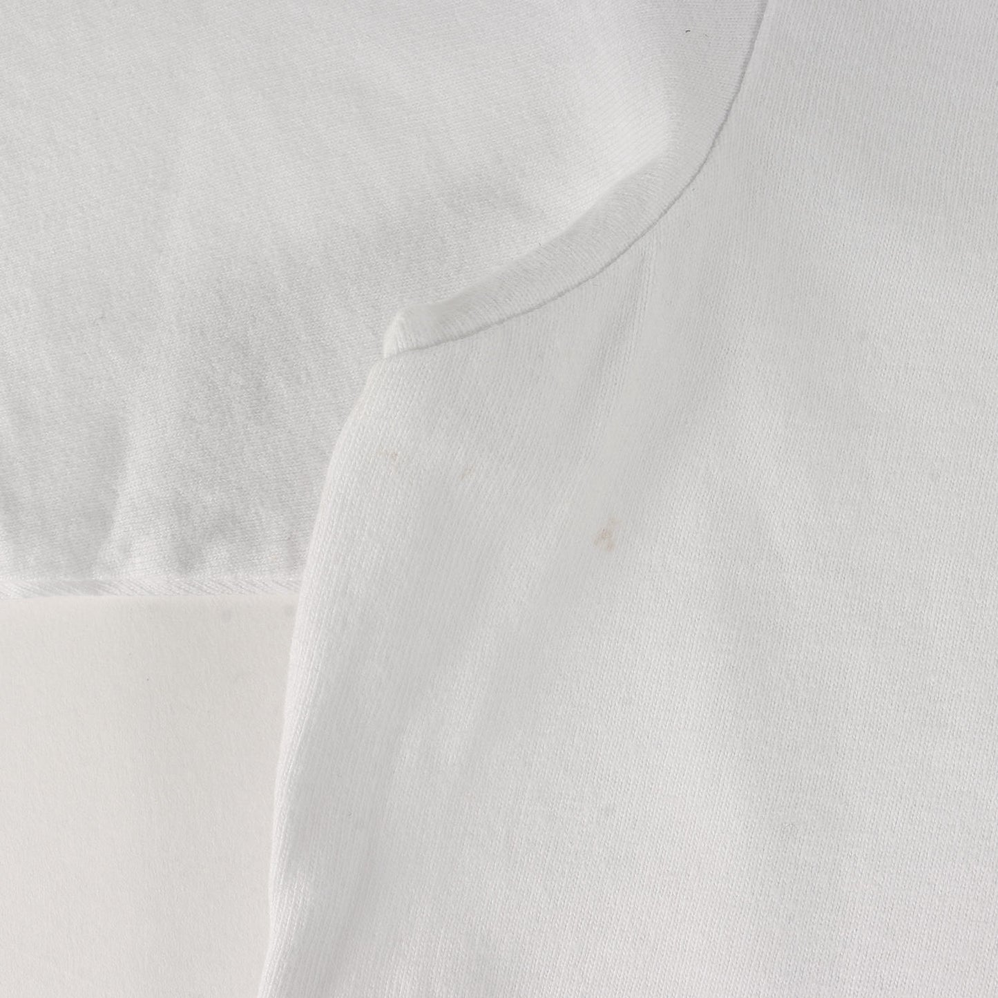 22SS ドッグ イラスト オーバーサイズ ヘビー Tシャツ(Dog Tee Grid Tee)