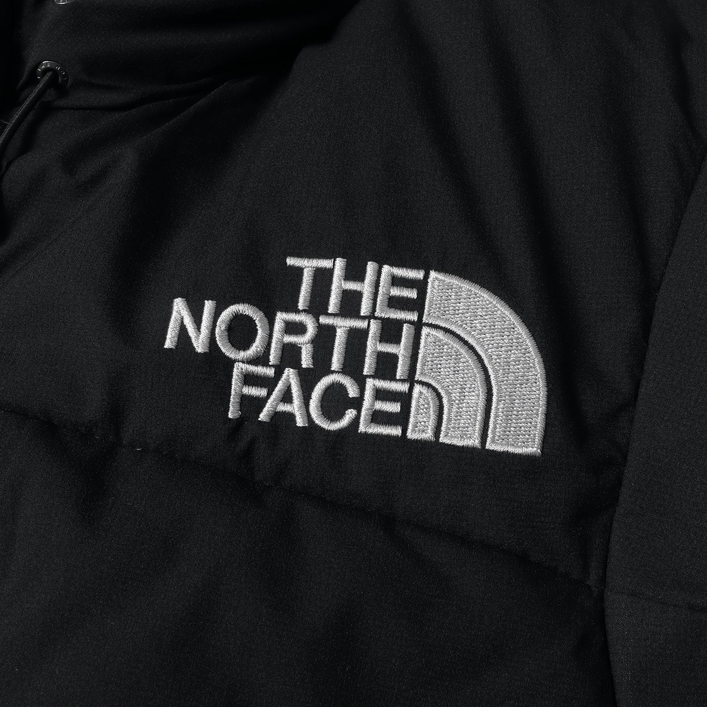 22AW GORE-TEX INFINIUM バルトロライト ダウンジャケット(Baltro Light Jacket ND92240)