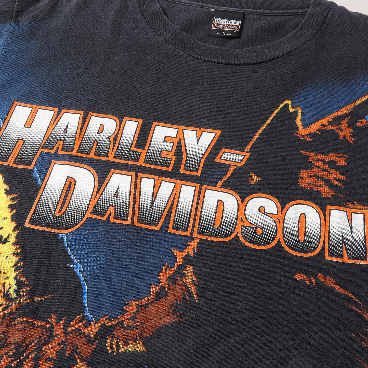 HARLEY-DAVIDSON (ハーレーダビッドソン) 90s イーグル ビッグ