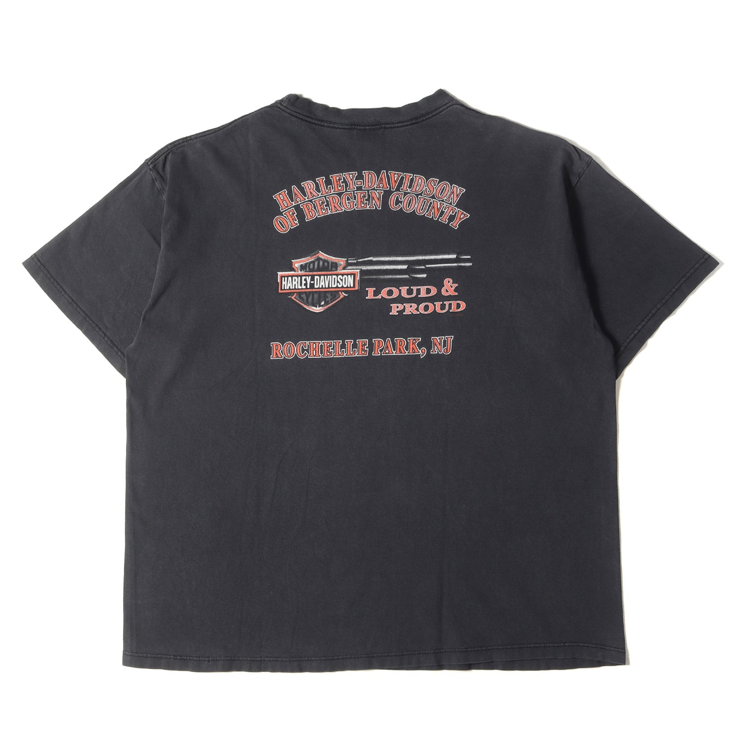 HARLEY-DAVIDSON (ハーレーダビッドソン) 00s HOLOUBEK イーグル グラフィック Tシャツ(USA製) / サンダー  ライトニング - ブランド古着の通販・買取 | BEEGLE by Boo-Bee