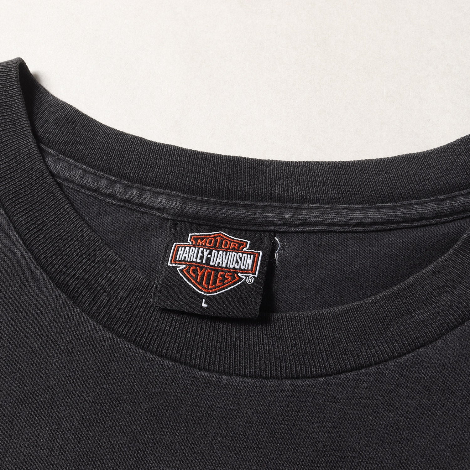 00s】USA製ハーレーダビッドソンフレイムHOLOUBEK製Tシャツ