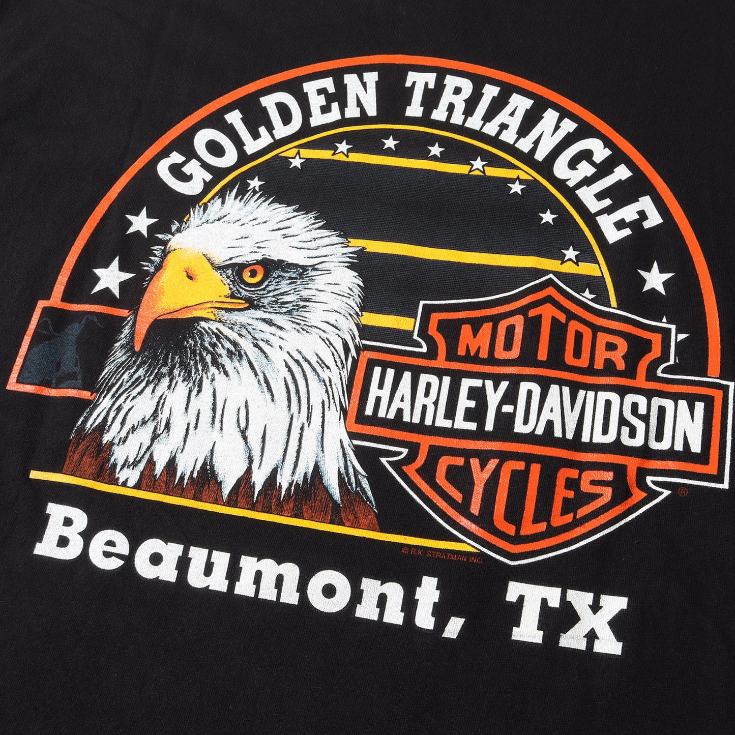 90s R.K.STRATMAN ブラックパンサー&イーグル Tシャツ(USA製 / Hanesボディ)